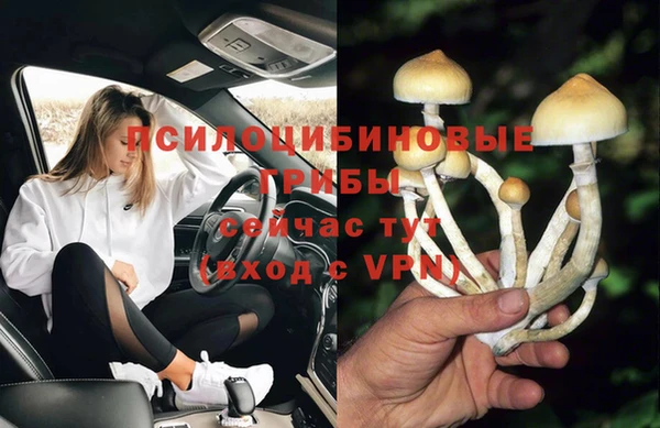 таблы Алексин