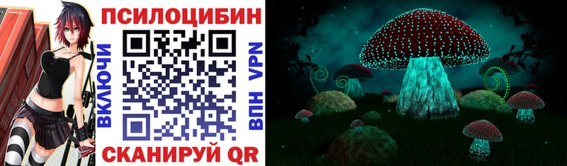 Галлюциногенные грибы Psilocybine cubensis блэк спрут маркетплейс Ревда
